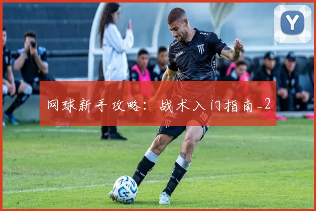 网球新手攻略：战术入门指南_2