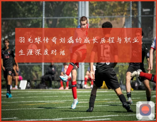羽毛球传奇刘磊的成长历程与职业生涯深度对话